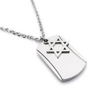 Silver alloy necklace with david's star dog tag pendant