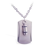 Silver alloy necklace with bullet dog tag pendant