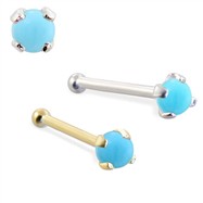 14K Gold Nose Bone with 2mm Round Turquoise