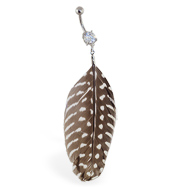 Belly ring with dangling brown and white spotted feather